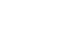 logo s fundo branco